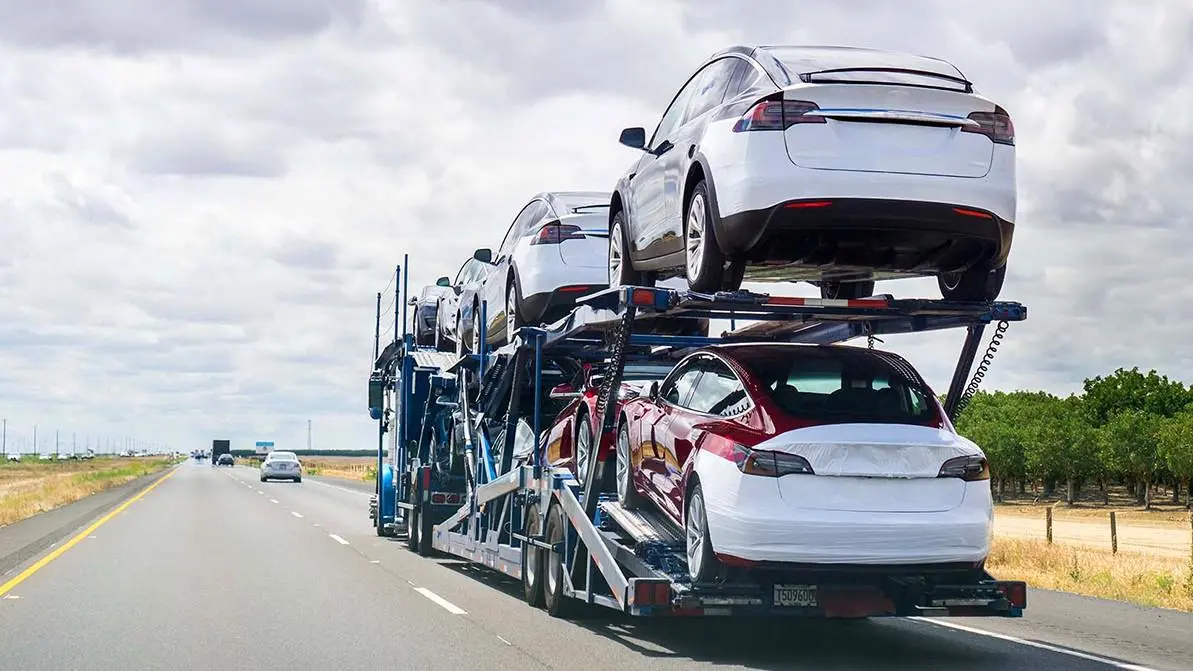 Reliable Car Shipping & Auto Transport Services - Netzbay LLC