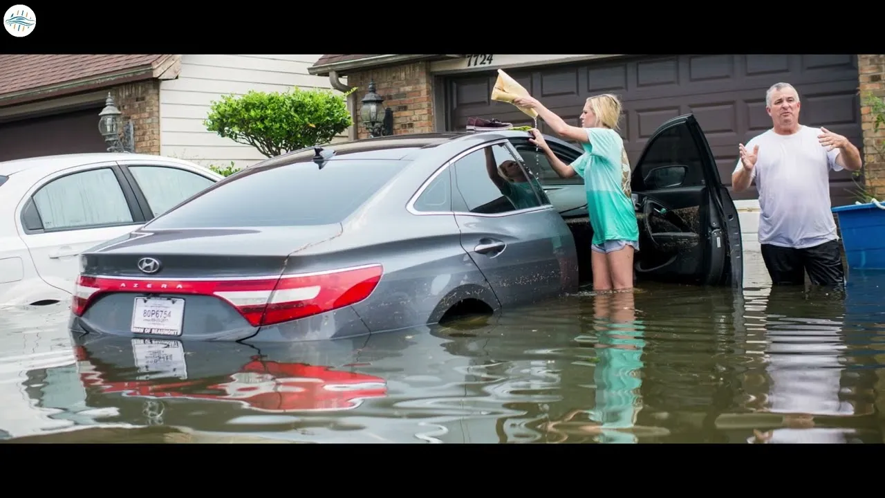 How to Avoid Buying a Car with Water Damage in 2025